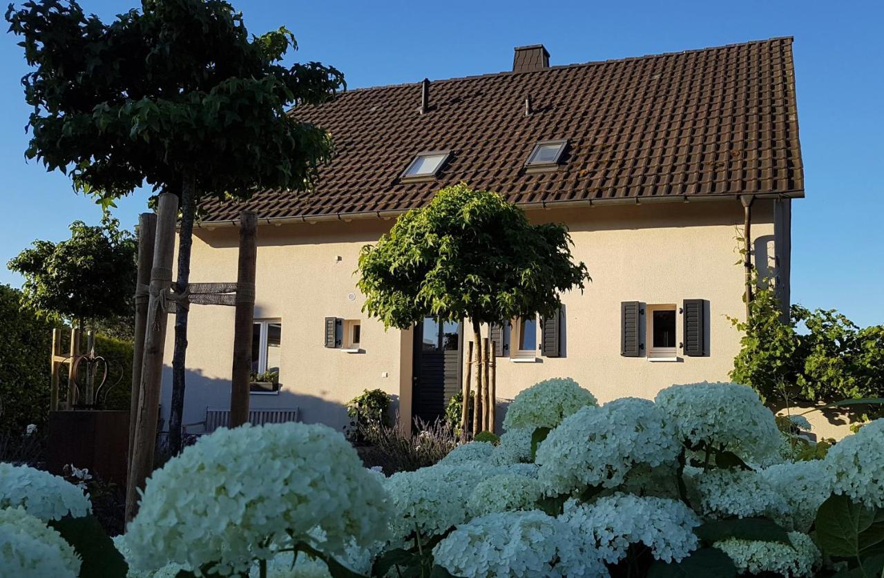 Gleisberg3 - Suedliche Weinstrasse Lägenhet Billigheim-Ingenheim Exteriör bild